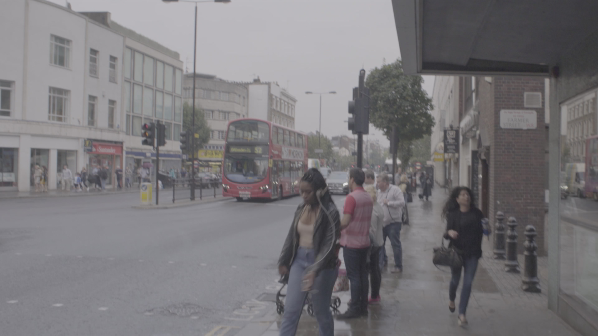 Rasta Man Vibration before