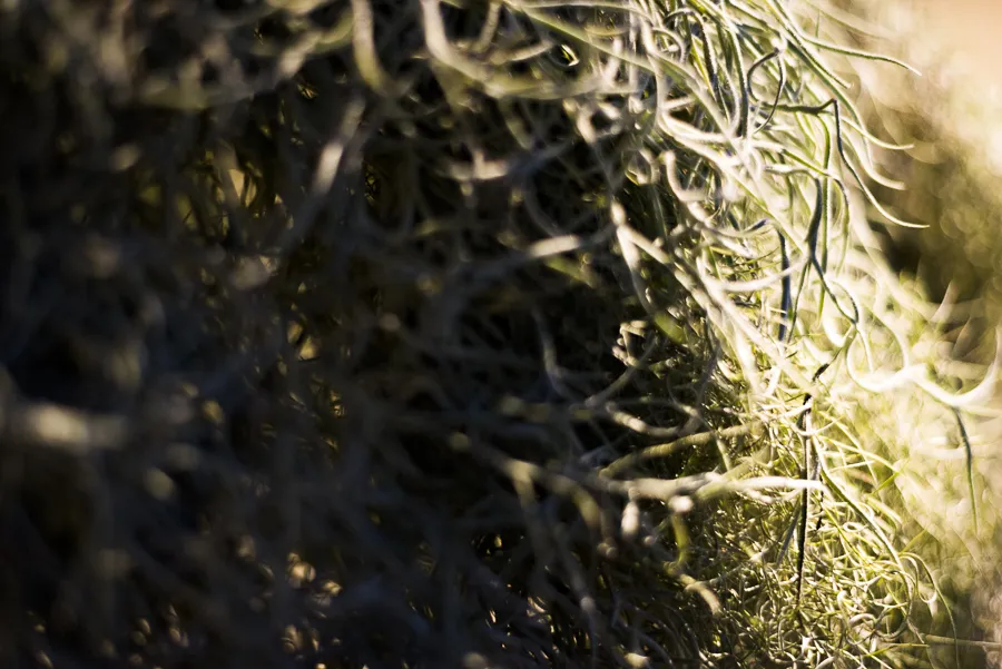 Salone del Mobile "Patterns"