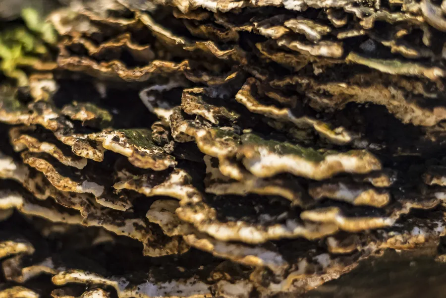 Salone del Mobile "Patterns"