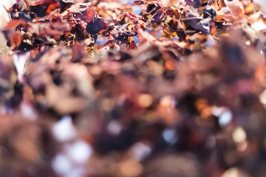 Salone del Mobile "Patterns"