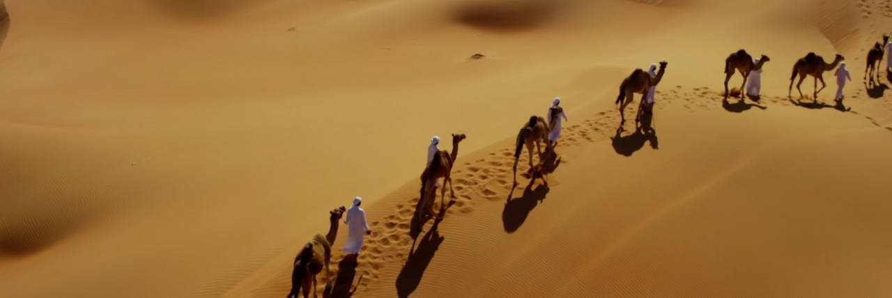 International Participants Meeting 2018