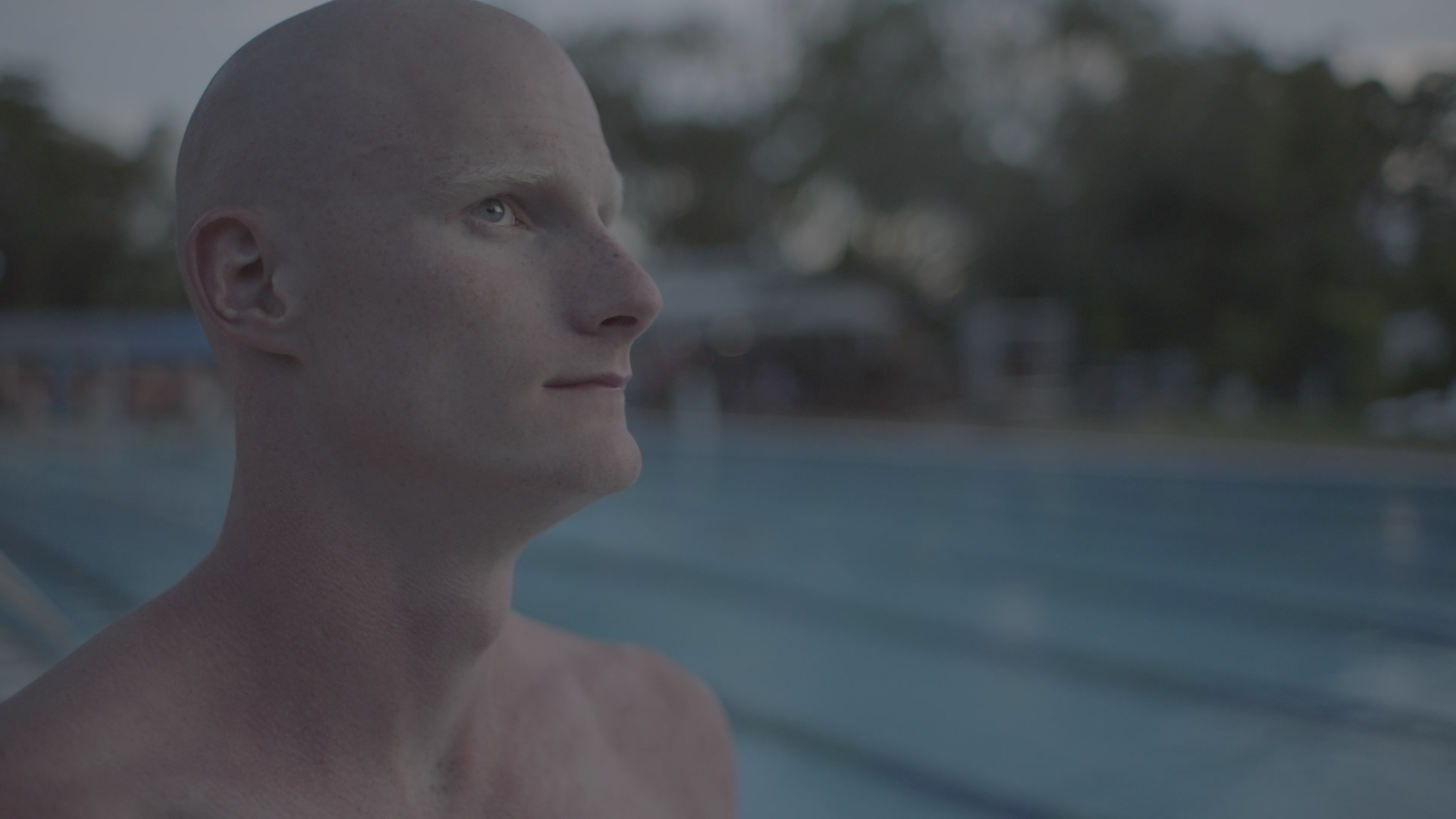 A Gentle Giant before