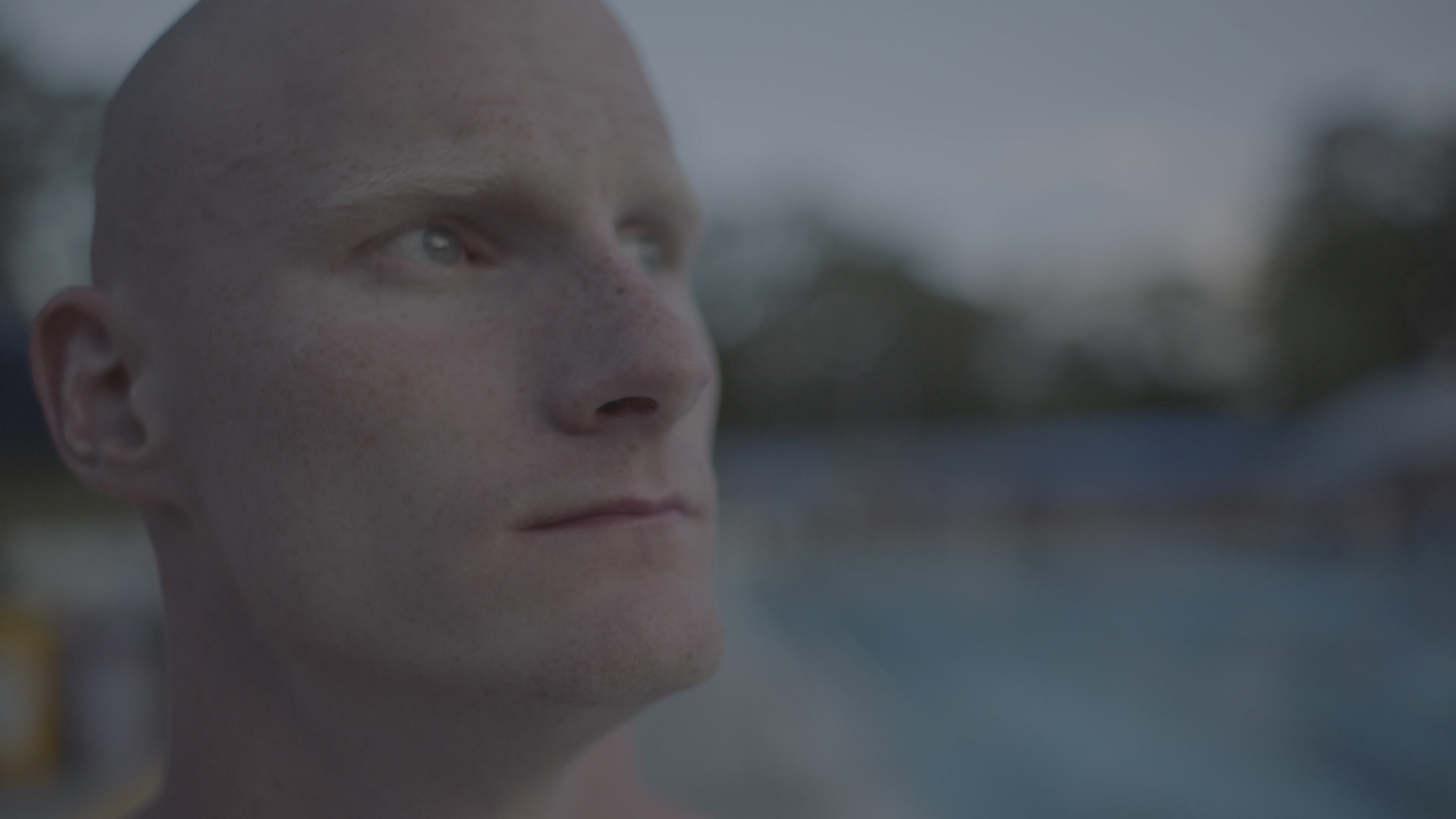 A Gentle Giant before