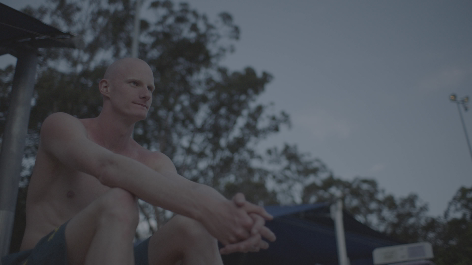 A Gentle Giant before