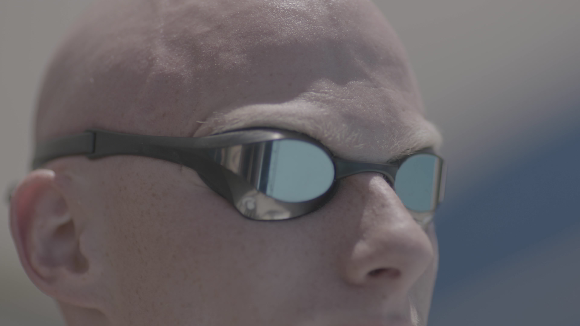 A Gentle Giant before