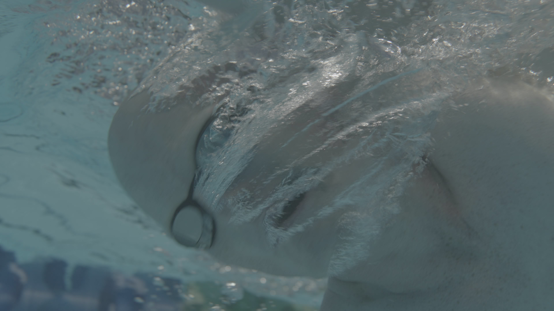 A Gentle Giant before