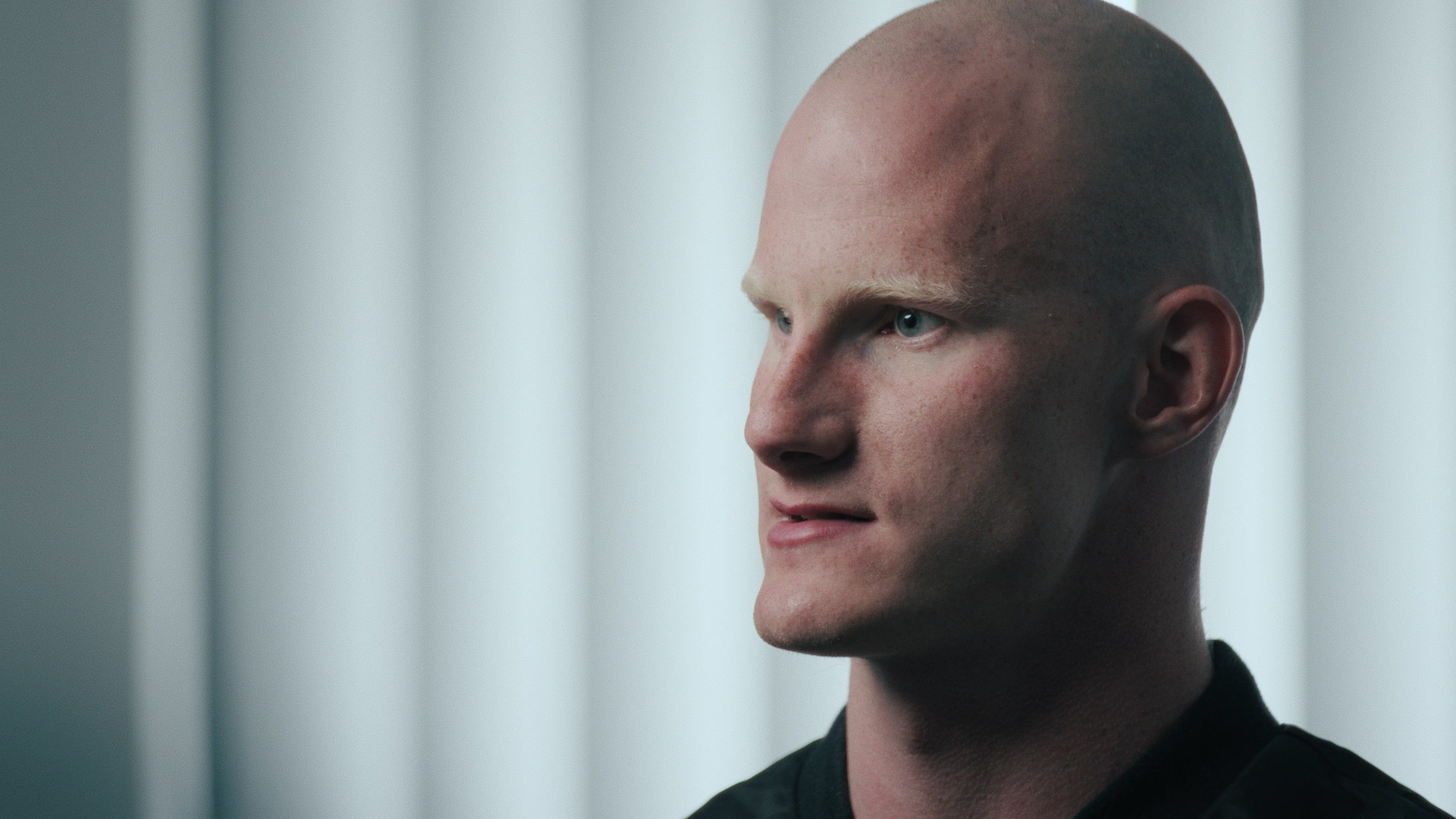 A Gentle Giant after