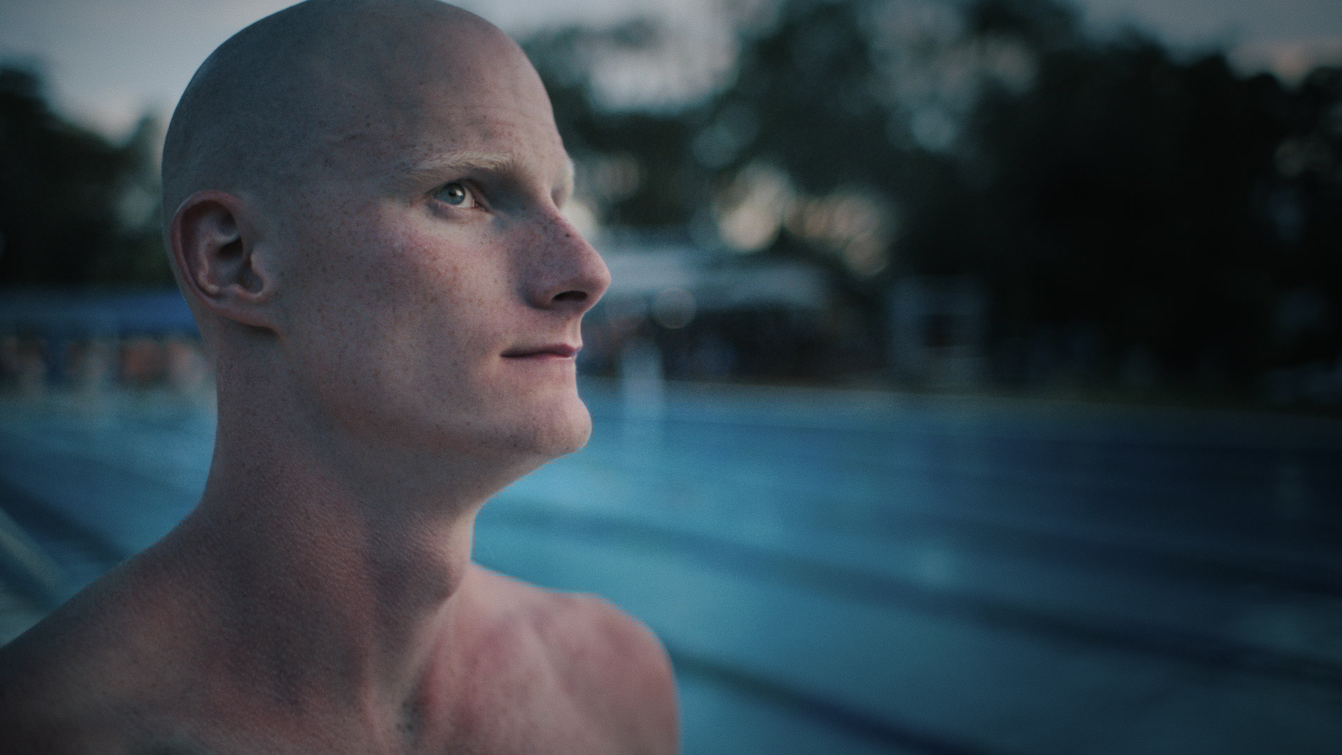 A Gentle Giant after