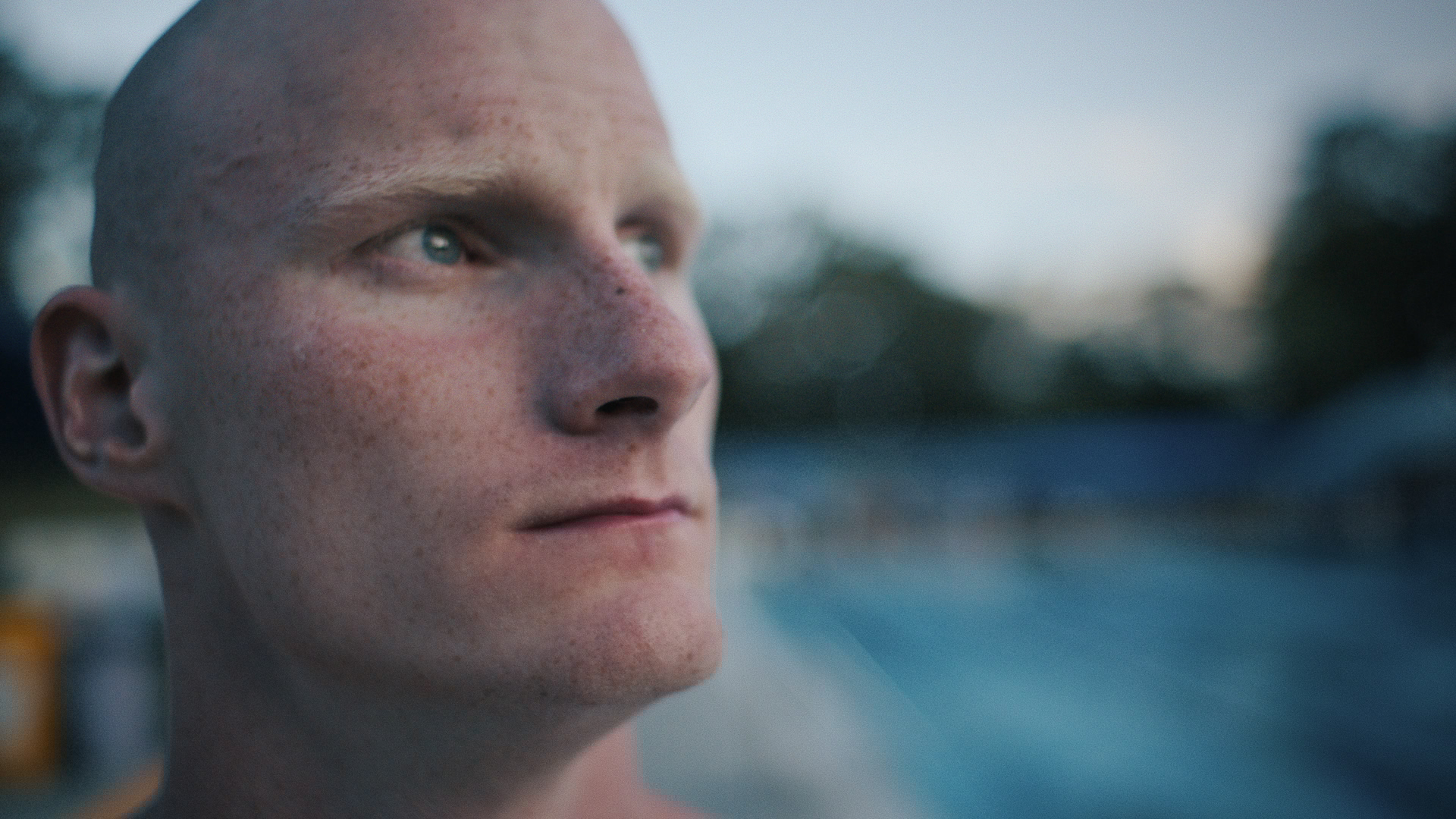 A Gentle Giant after