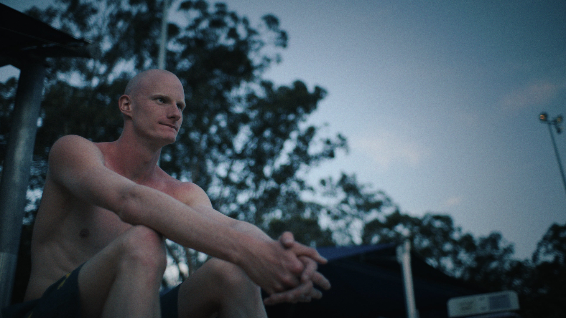 A Gentle Giant after