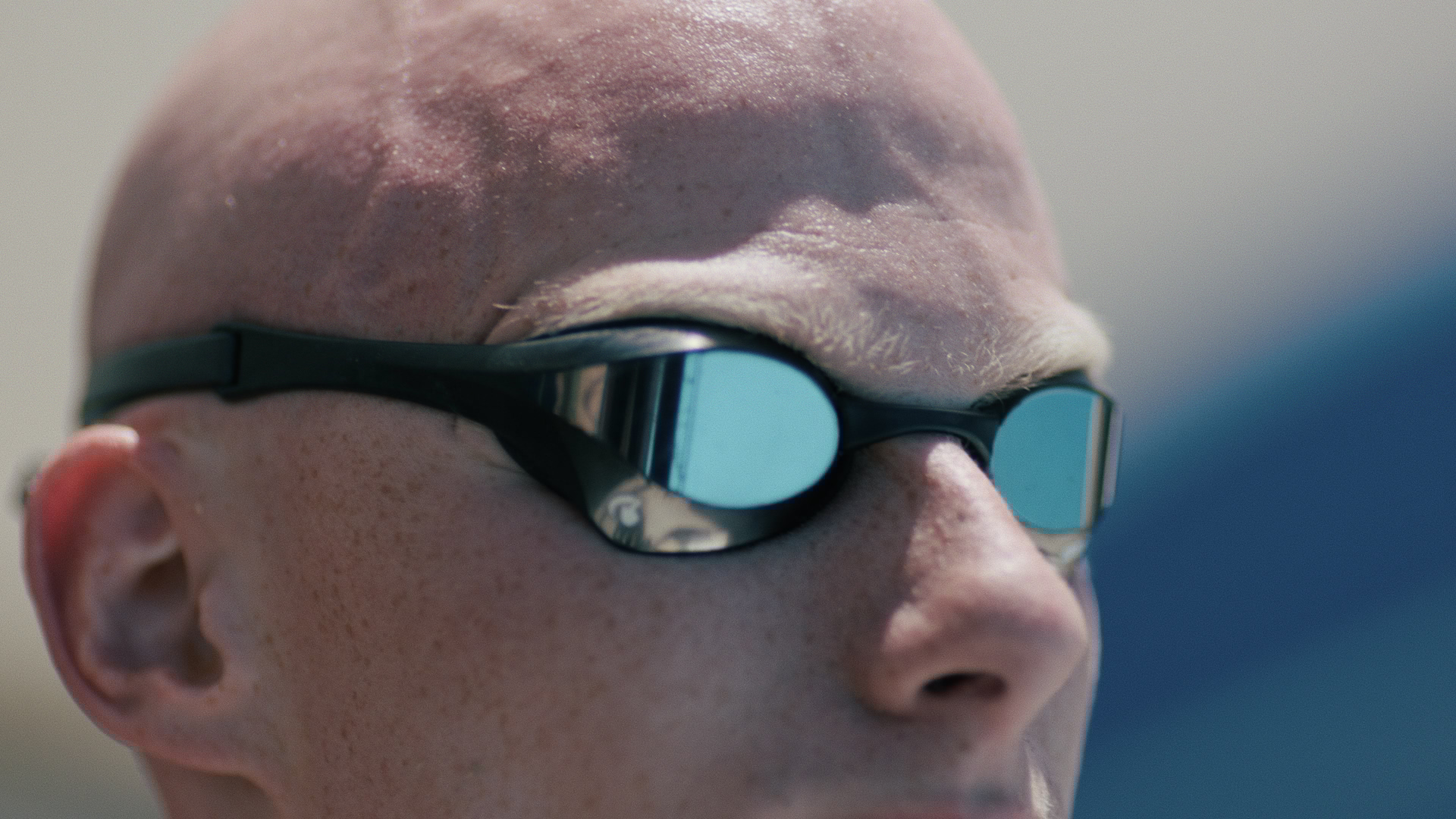 A Gentle Giant after