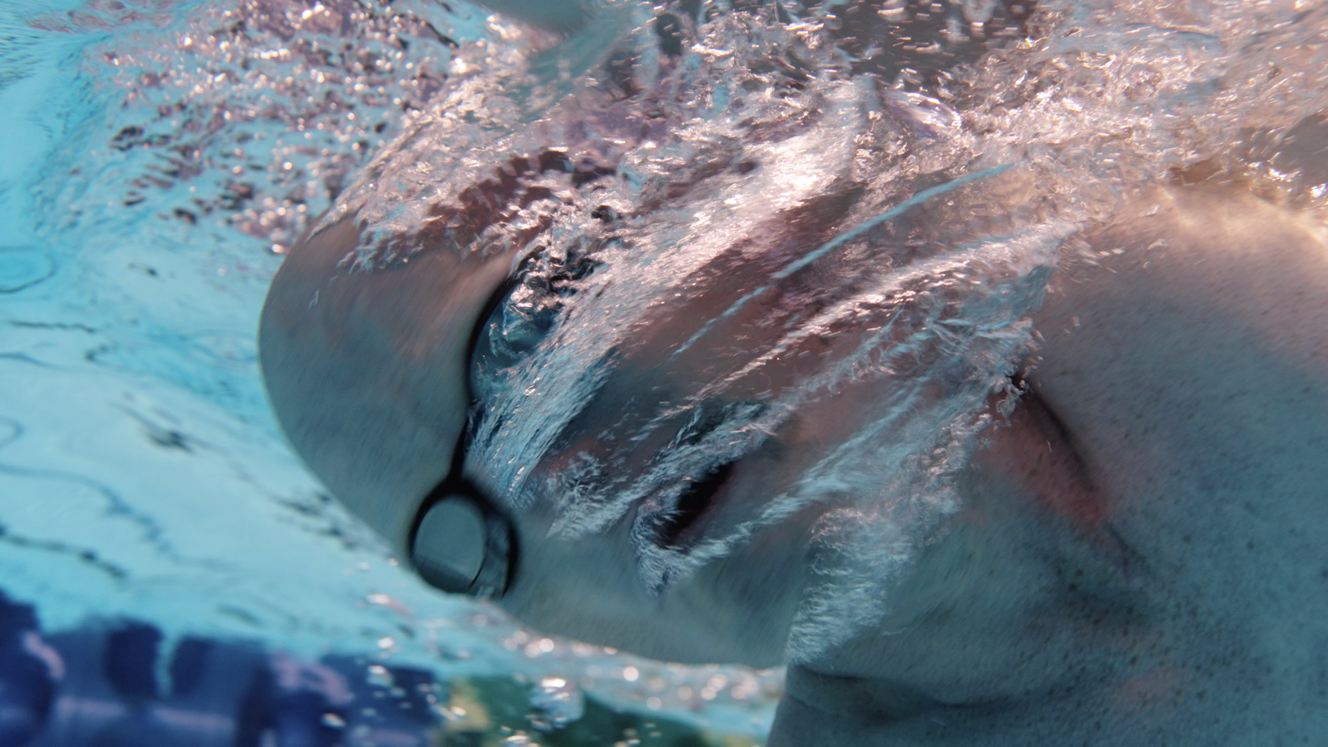 A Gentle Giant after